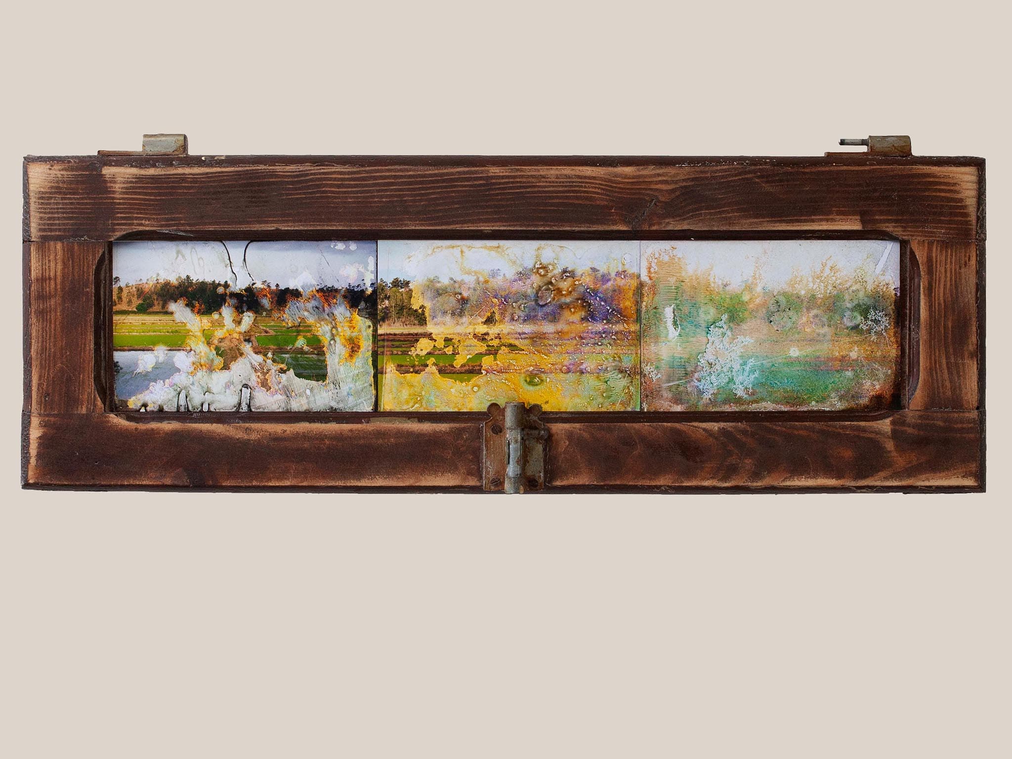 Foto-aguarelas_3_Arrozais_Torre